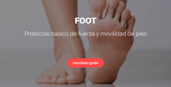 Header FOOT IG y blog
